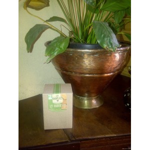 Les Gaudinettes  &ndash; Sabl&eacute; Sal&eacute;